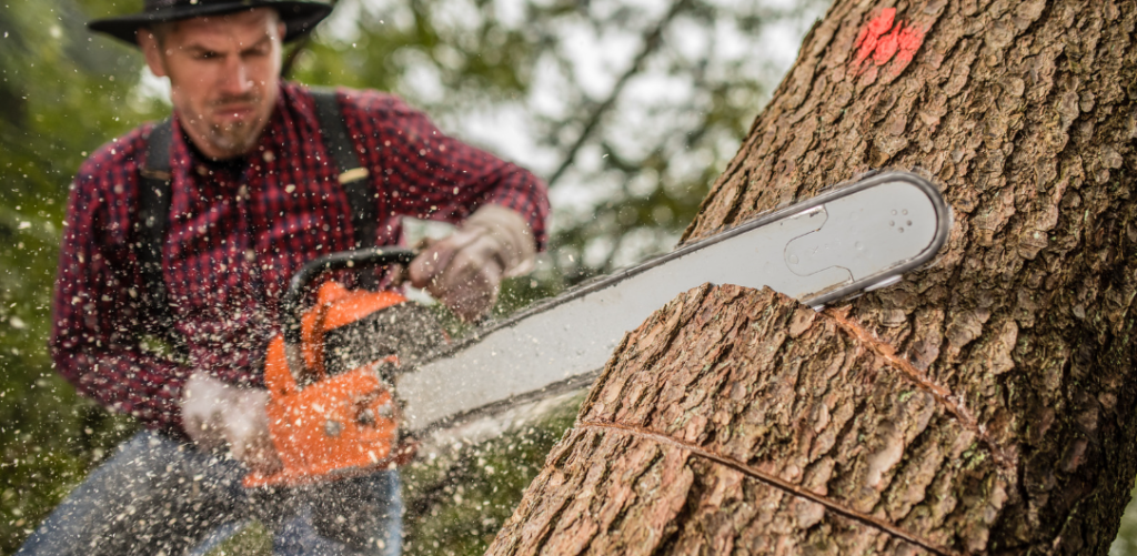 Screenshot 2024-06-15 092538