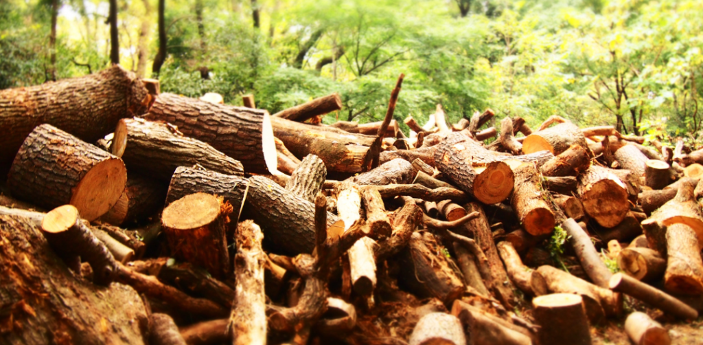 Screenshot 2024-06-15 092710